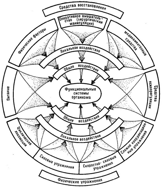 засоби комплексної реабілітації спортсменів після травм опорно-рухового апарату