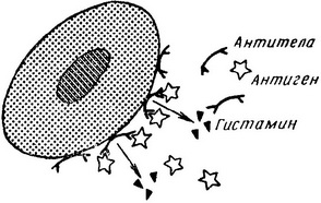 циркулюючі антигени