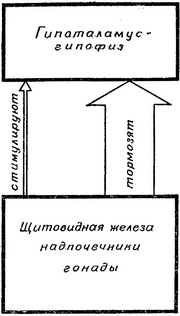 схема механізму негативного закону зворотного зв'язку