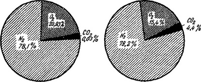 хімічний склад вдихуваного і видихуваного повітря