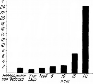 ріст матки від народження до 20-річного віку