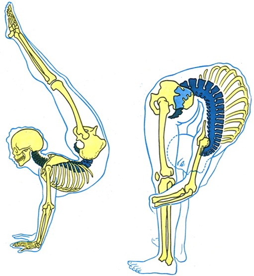 можлива ступінь розгинання позврночника
