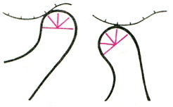 схема ковзання диска і головки нижньої щелепи