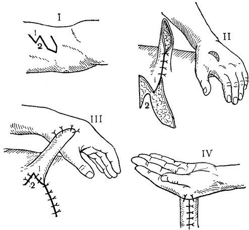 етапи створення стебла по балону