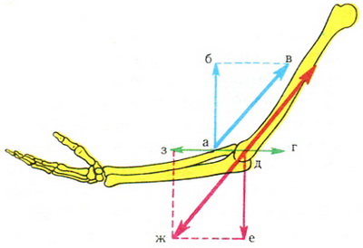 схема дії пари сил