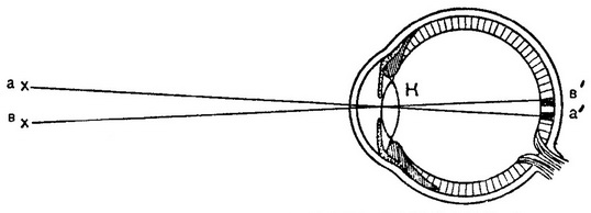 хід світлових лучен в оці схема