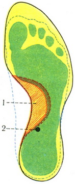 вид підошви стопи дорослої