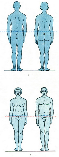 центр ваги у чоловіків і жінок