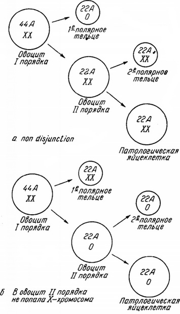 патологічний овогенез