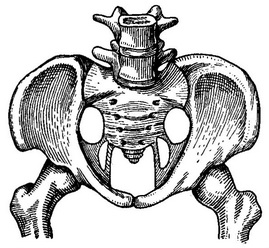 равномернообщесуженный таз