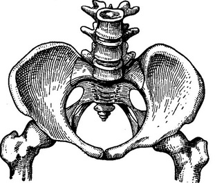 дитячий таз