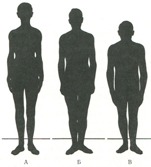 схема конституції людини