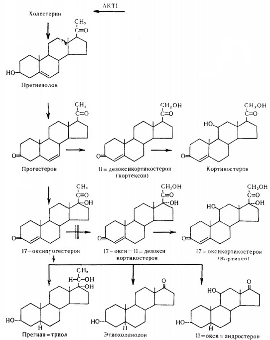 обмін стероїдів при неускладненому адреногенітальному синдромі