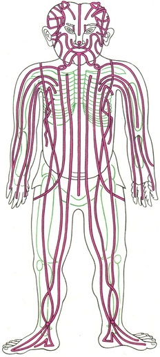 система каналів у людини