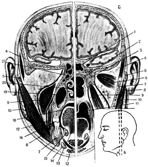 фасції особи фронтальні розпили