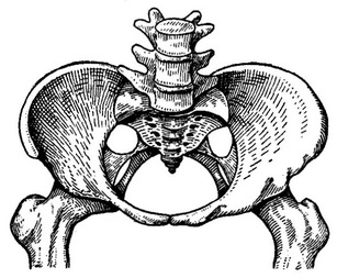 простий плоский таз (Девентера