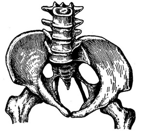 кососуженный таз негелевский
