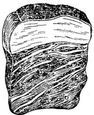 финнозное м'ясо