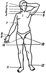 місця притискання артерій при кровотечі