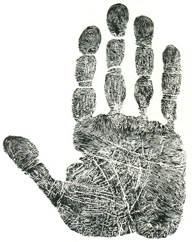 напрямок ліній шкіри долоні