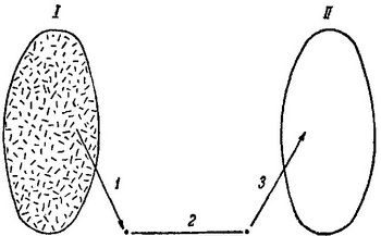схема механізму передачі інфекції