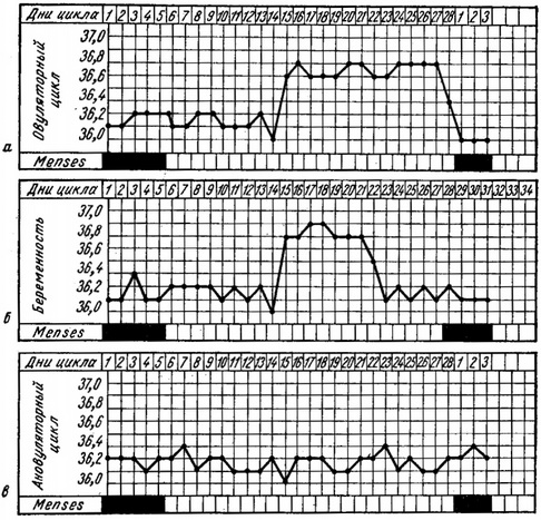 коливання базальної температури