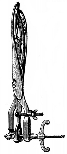 базиотриб тарнье