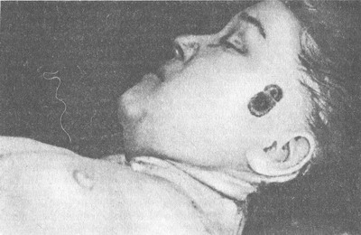 штанц-марка