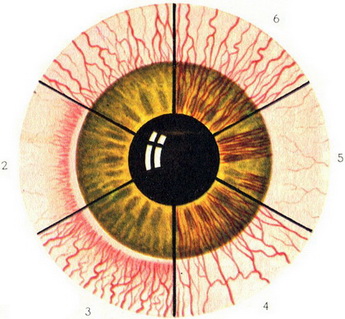 види ін'єкцій переднього відрізка ока