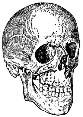 лінія перелому верхньої щелепи 1 типу