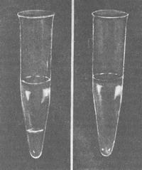 реакція Чистовича