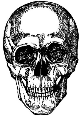 лінія перелому верхньої щелепи третього типу