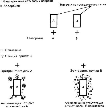 схема реакції абсорбції-елюції