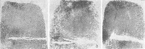 дактилоскопія (відбитки пальців)