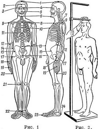 антропометричні точки