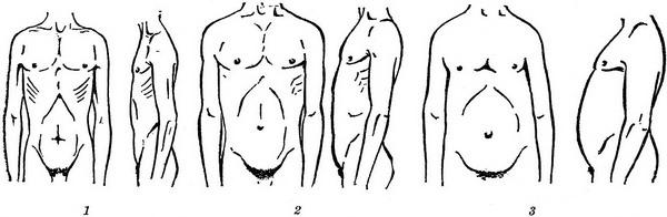форми грудної клітини та живота
