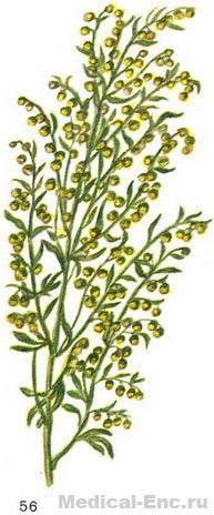 полин гірка