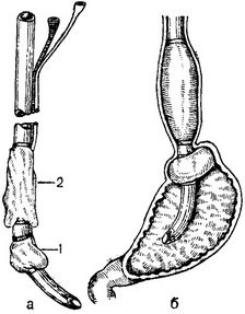 зонд Блекмора