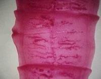 бичачий ціп'як