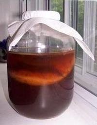 чайний гриб