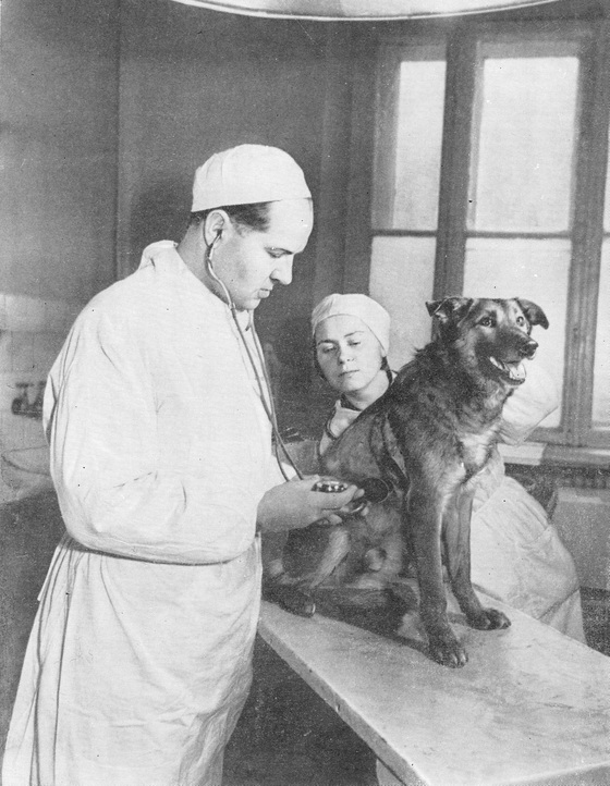 В. П. Деміхов