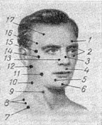 рухові точки нервів і м'язів голови і шиї