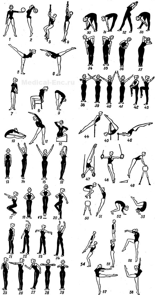 гімнастика в картинках