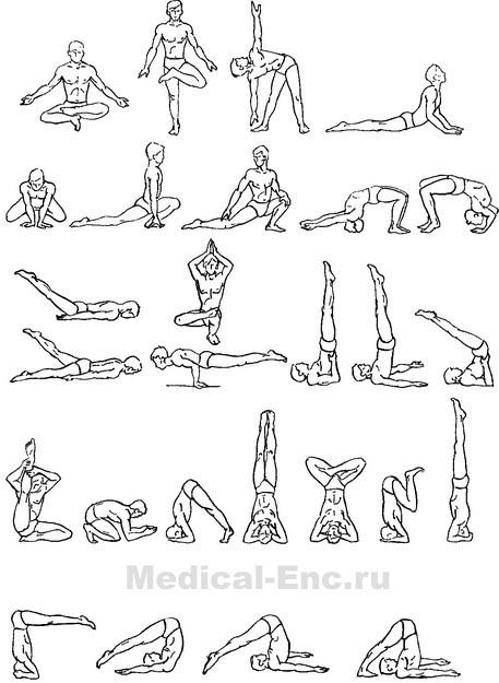 вправи хатха-йоги