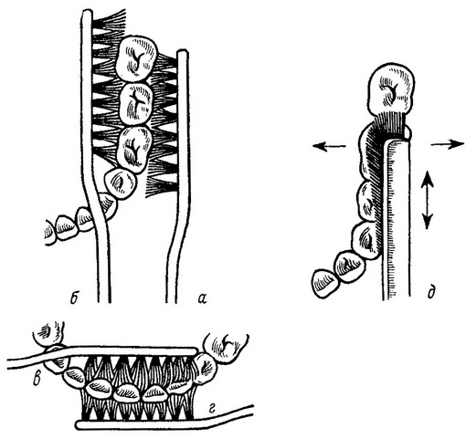 як правильно чистити зуби