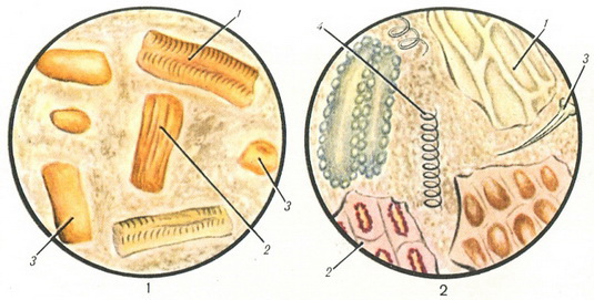 мікроскопічне дослідження калу