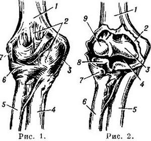 ліктьовий суглоб