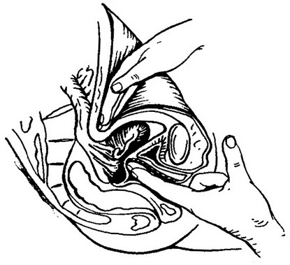 масаж матки