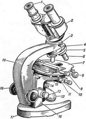 біологічний мікроскоп
