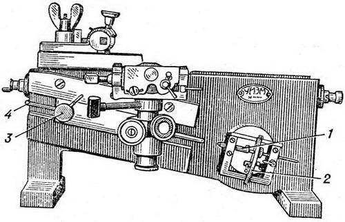 санний мікротом